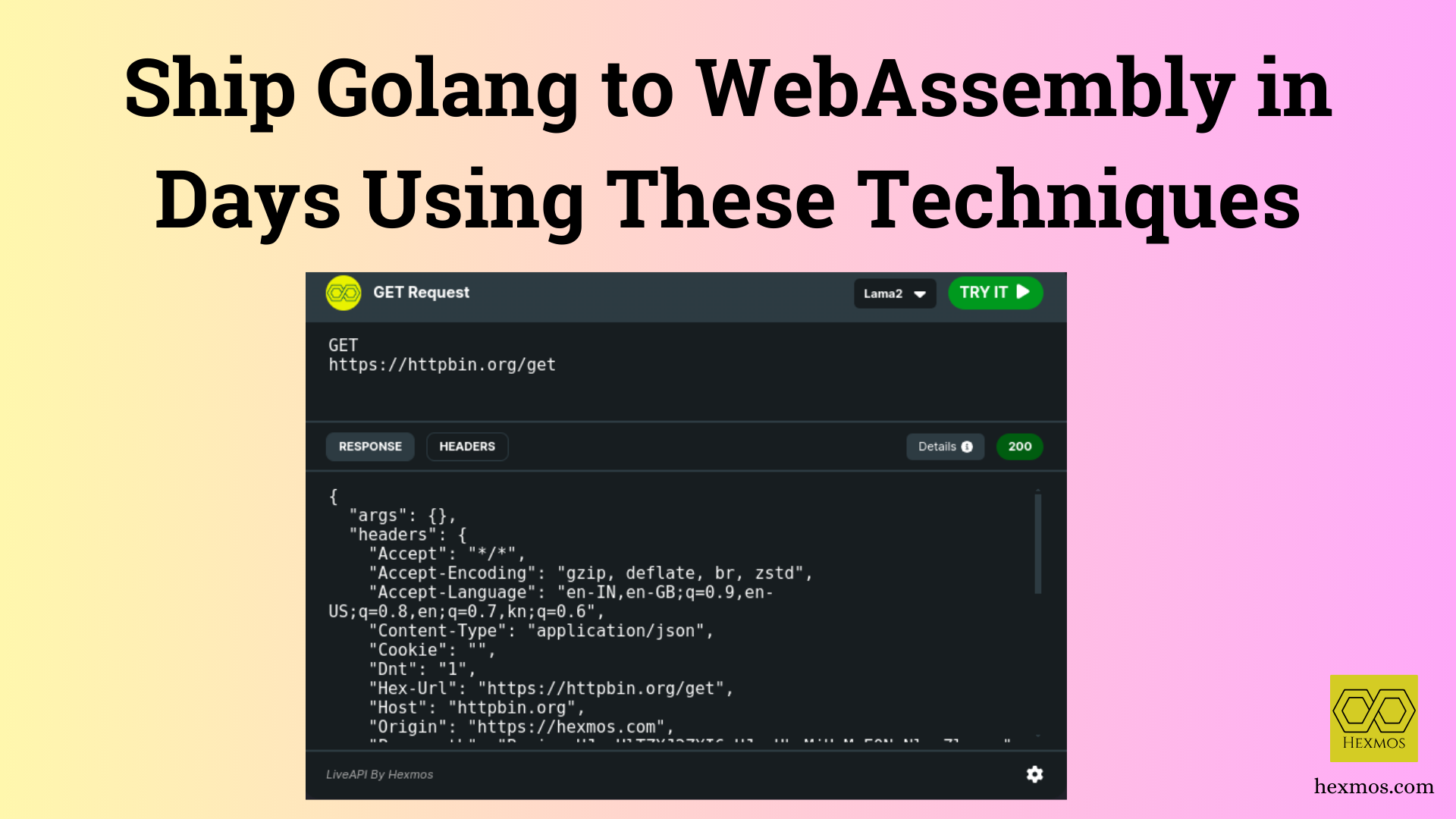 Ship GoLang to WebAssembly in Days Using These Techniques