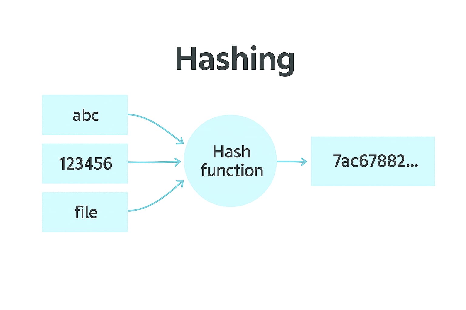 What the Hash?! Understanding the Basics of Hashing